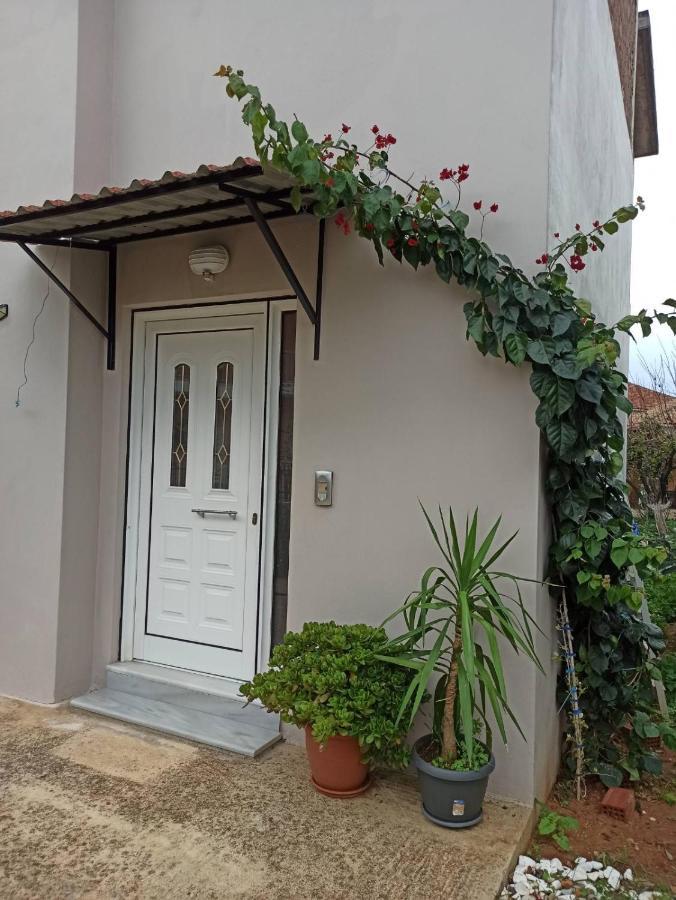 Agathi'S House Apartment Mytikas  Ngoại thất bức ảnh