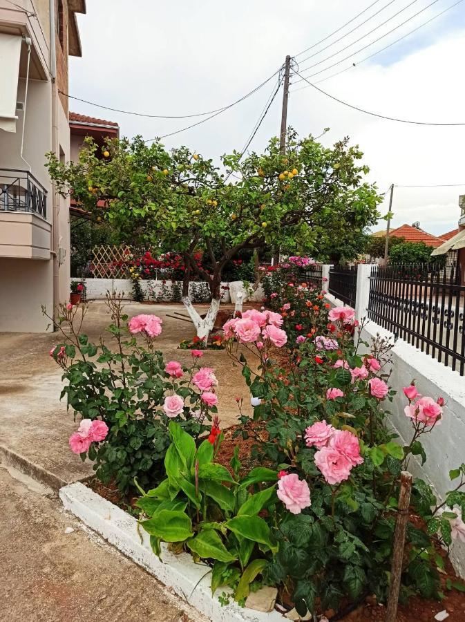 Agathi'S House Apartment Mytikas  Ngoại thất bức ảnh